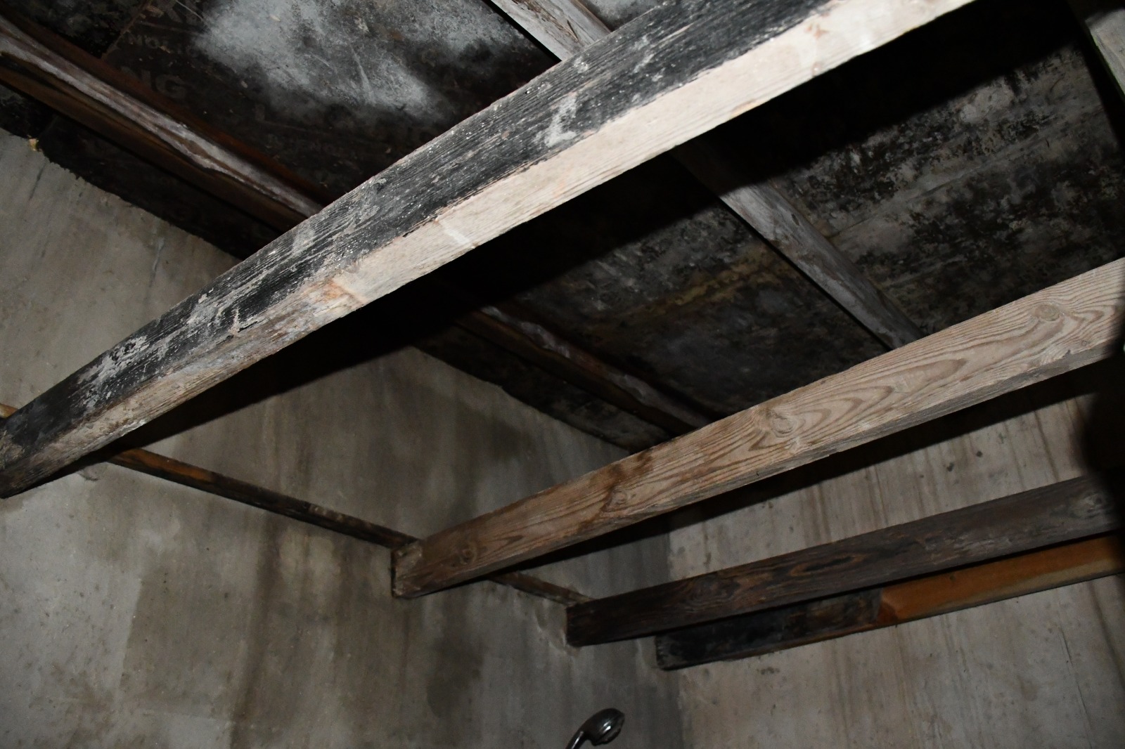 WhatsApp Image 2020-05-17 at 10.14.05 PM.jpeg.jpeg